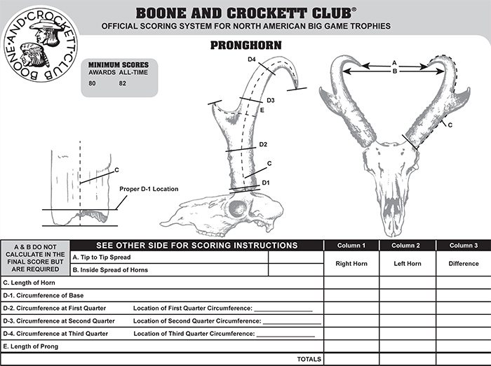 bcpronghorn-1