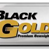 b2ap3_thumbnail_black-gold-logo.jpg