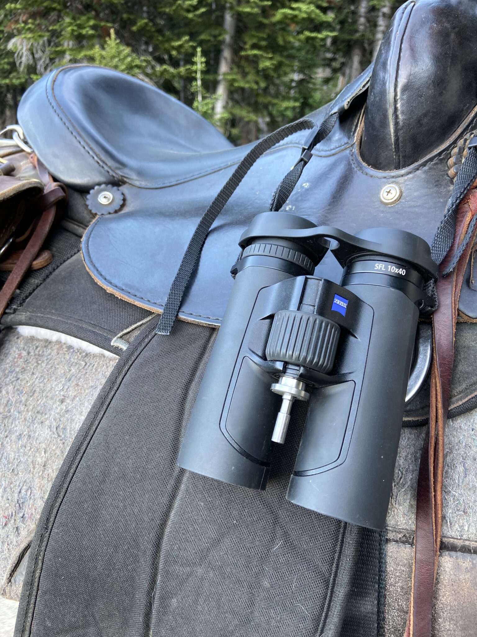 Zeiss SFL 10x40 vs. SF 10x32 Binocular Review - Rokslide