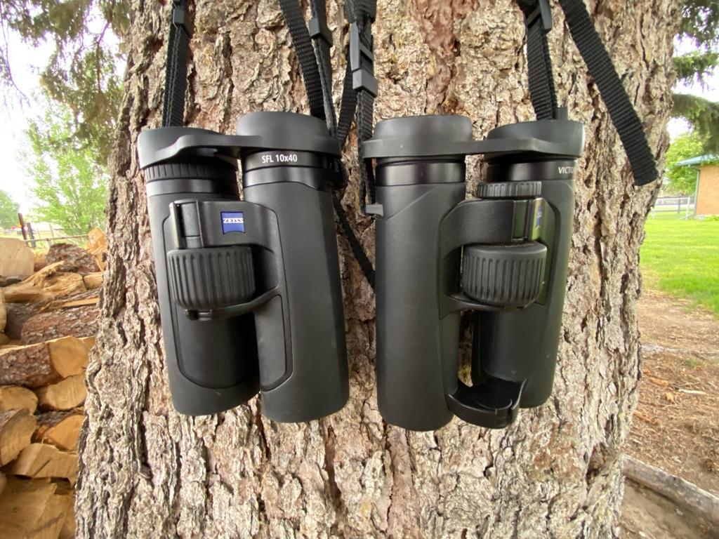 Zeiss SFL 10x40 vs. SF 10x32 Binocular Review - Rokslide