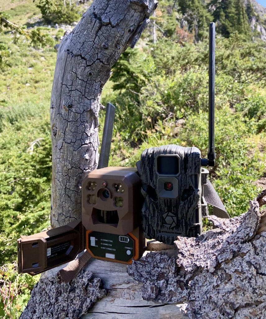 Moultrie Mobile Edge Cellular Trail Camera Review Rokslide