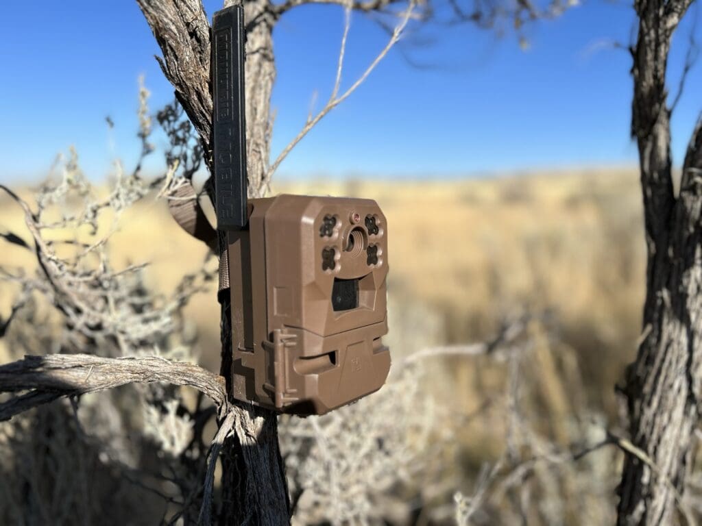 Moultrie Mobile Edge Cellular Trail Camera Review Rokslide