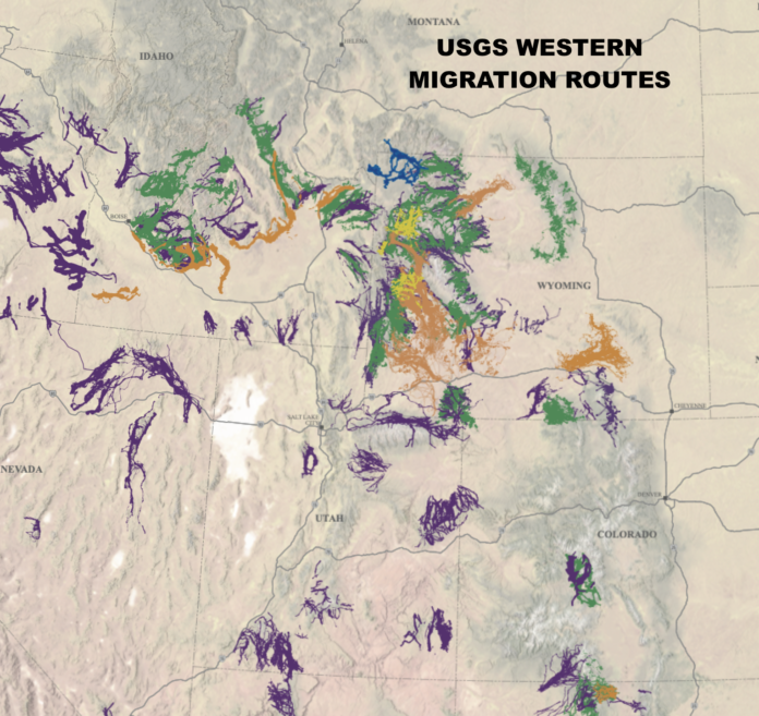 USGS Migration Collar Data