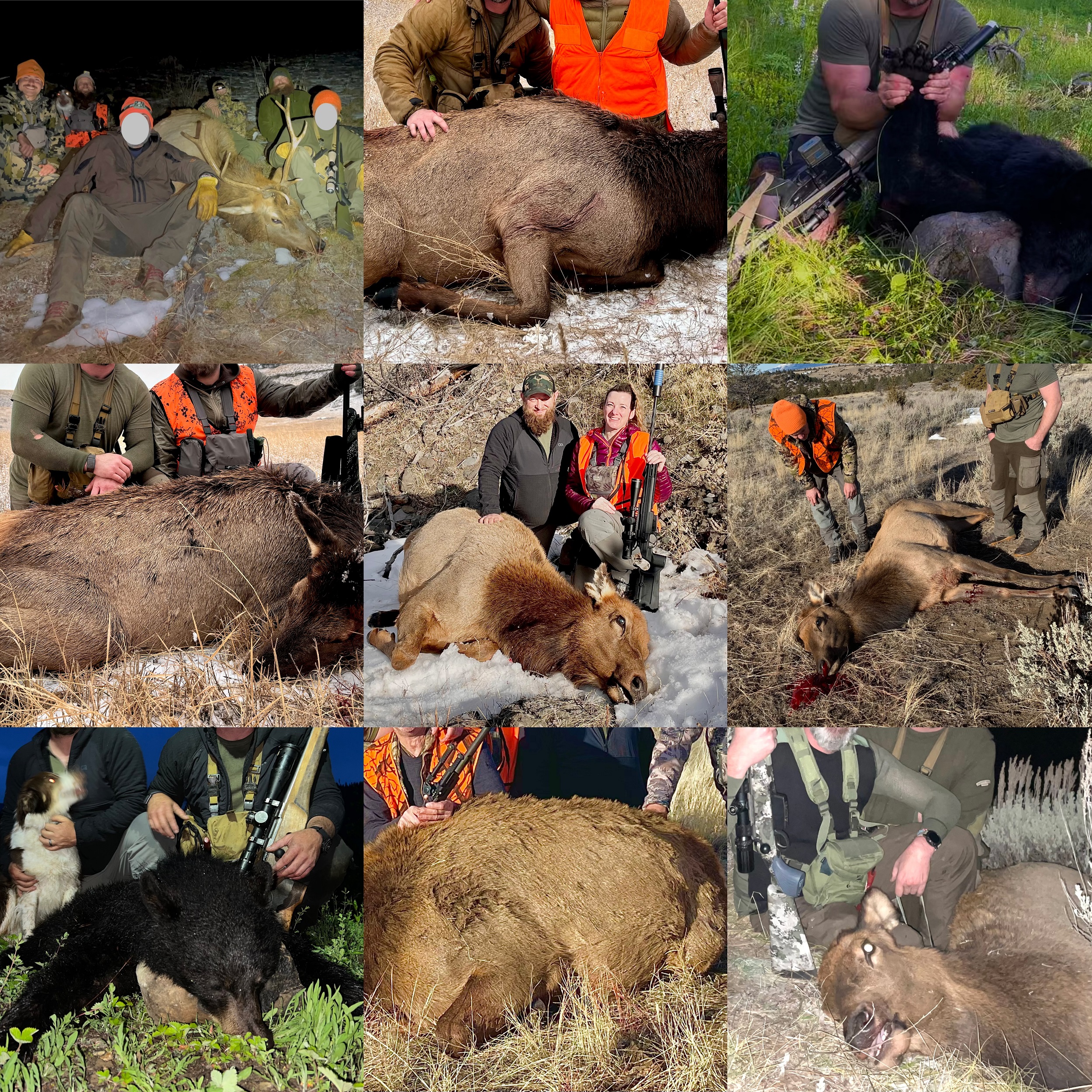 Some of the animals killed while using the BLR10b’s.