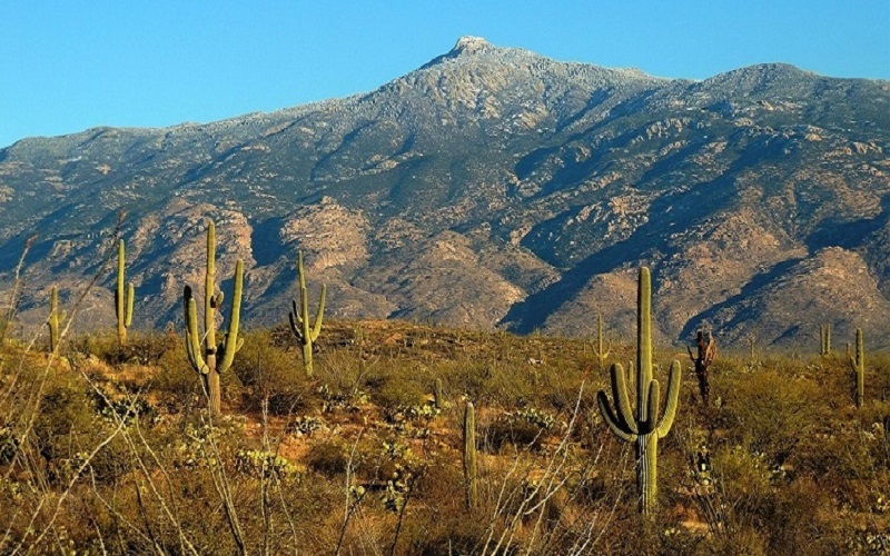 The Rincon Mountains outside Tucson are one of the many bio-diverse “sky islands” of southern Arizona. (Courtesy of NPS)