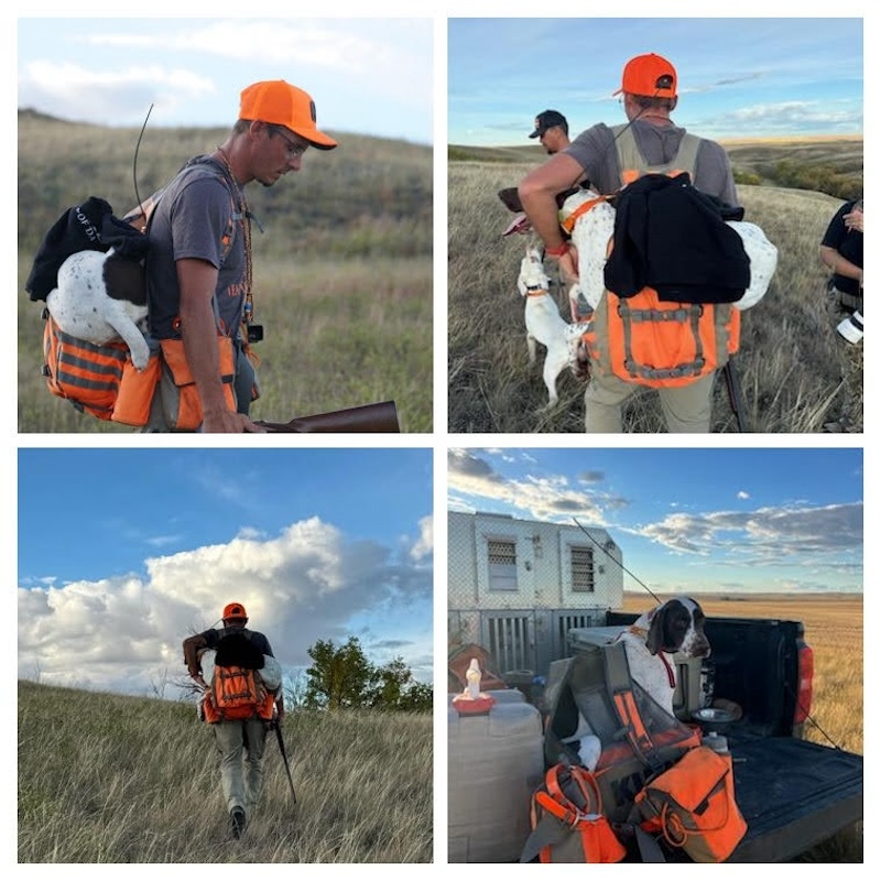 Carrying injured dog.