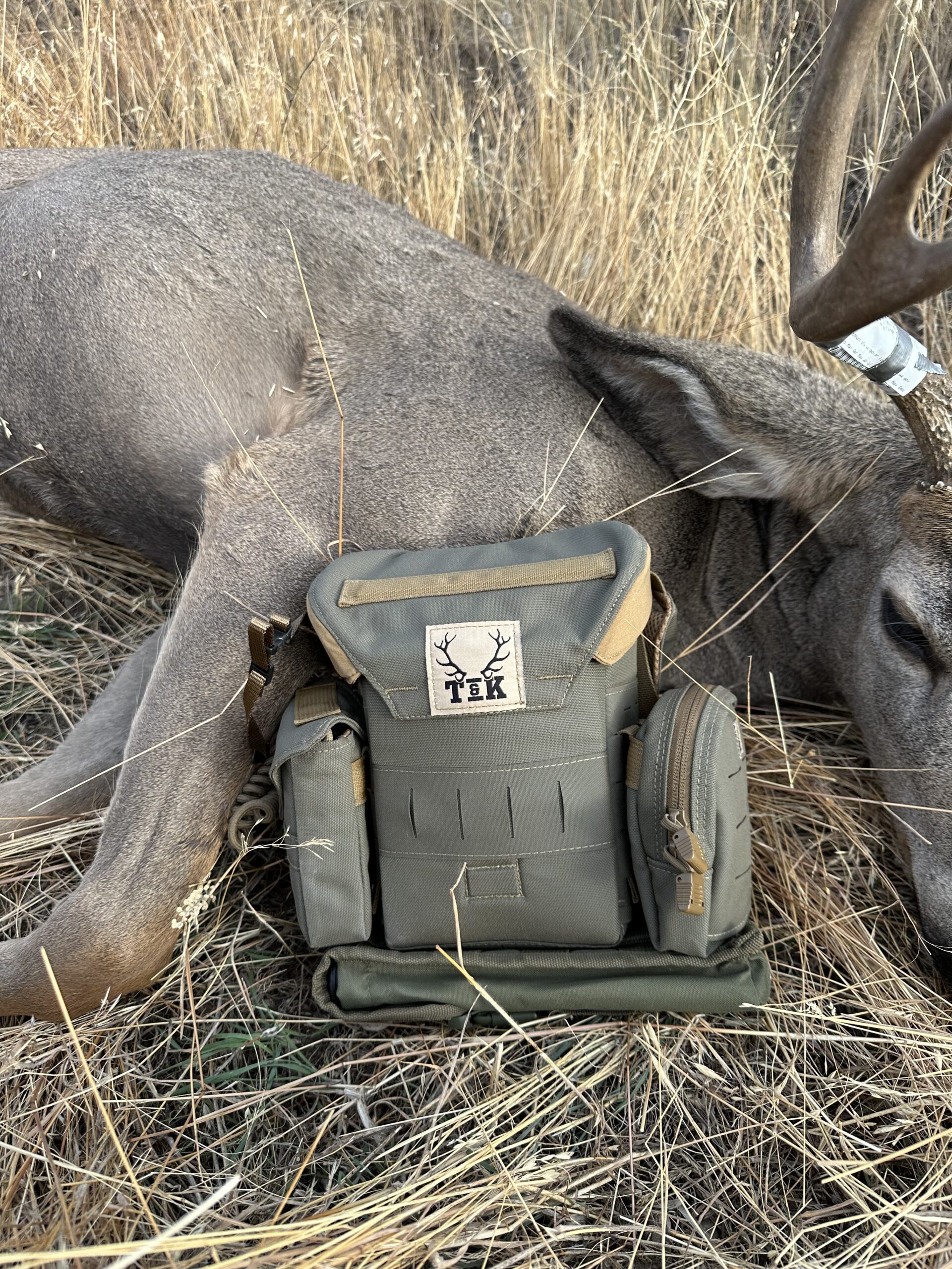 Bino Harness and Mule Deer