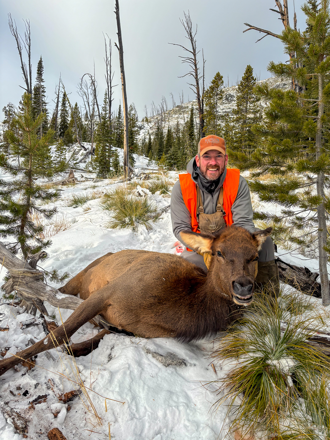 Elk Hunting