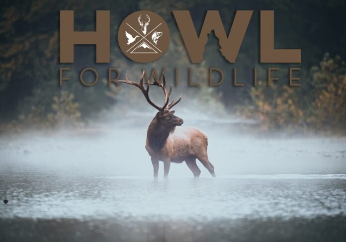 Tipsy Tuesday #50 Howl for Wildlife on the offensive